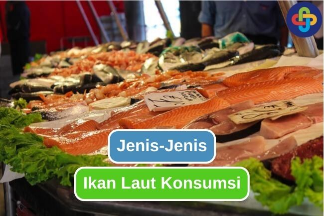 6 Jenis Ikan Laut Yang Ada Sering Dicari